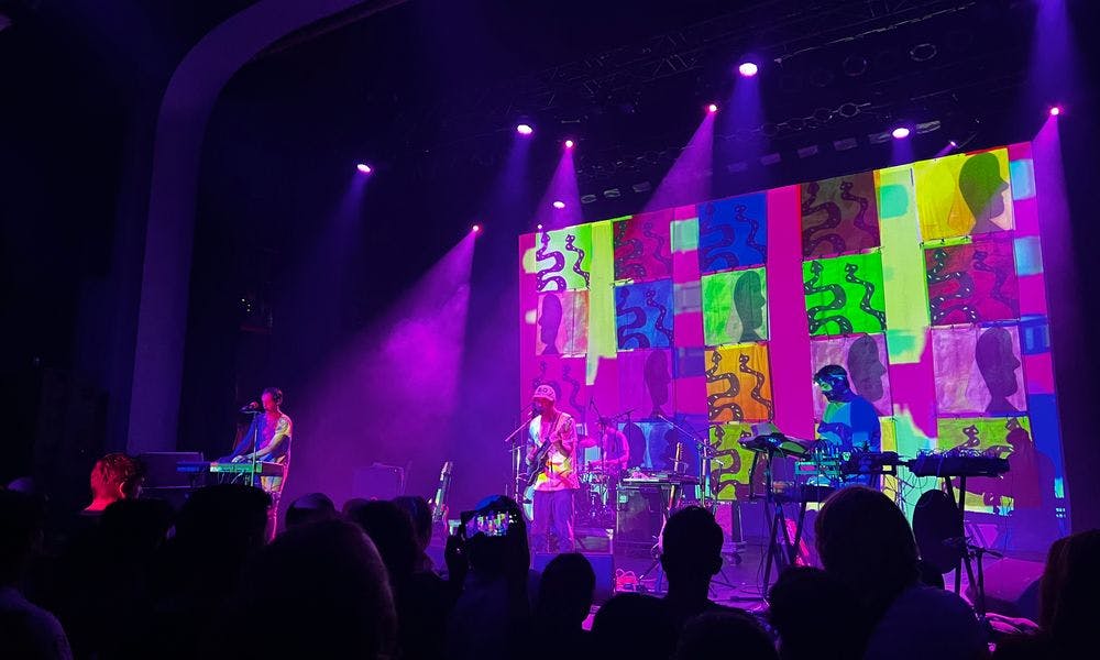 Animal Collective band playing a live show